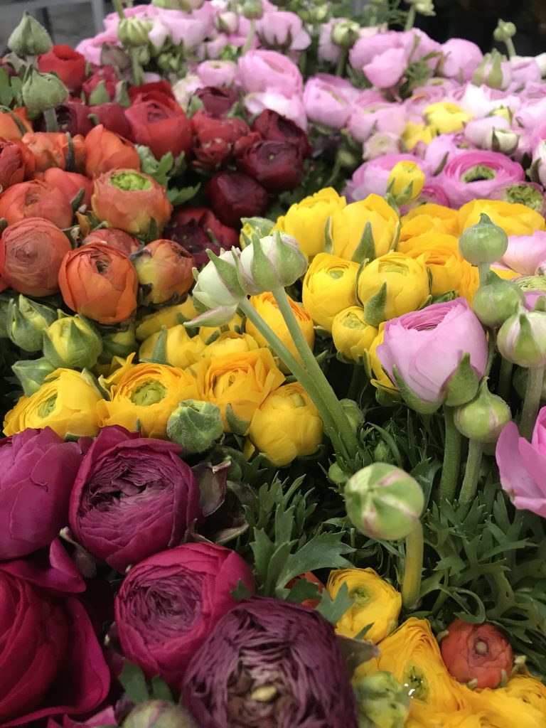 Spring Santospirito Flowers & Wholesalers