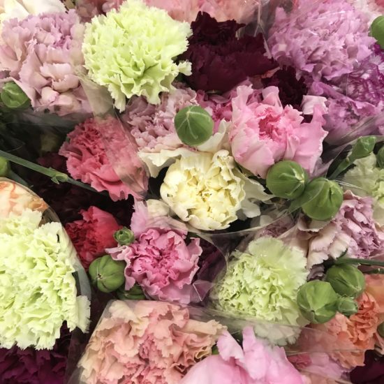Carnations Sims Santospirito Flowers & Wholesalers