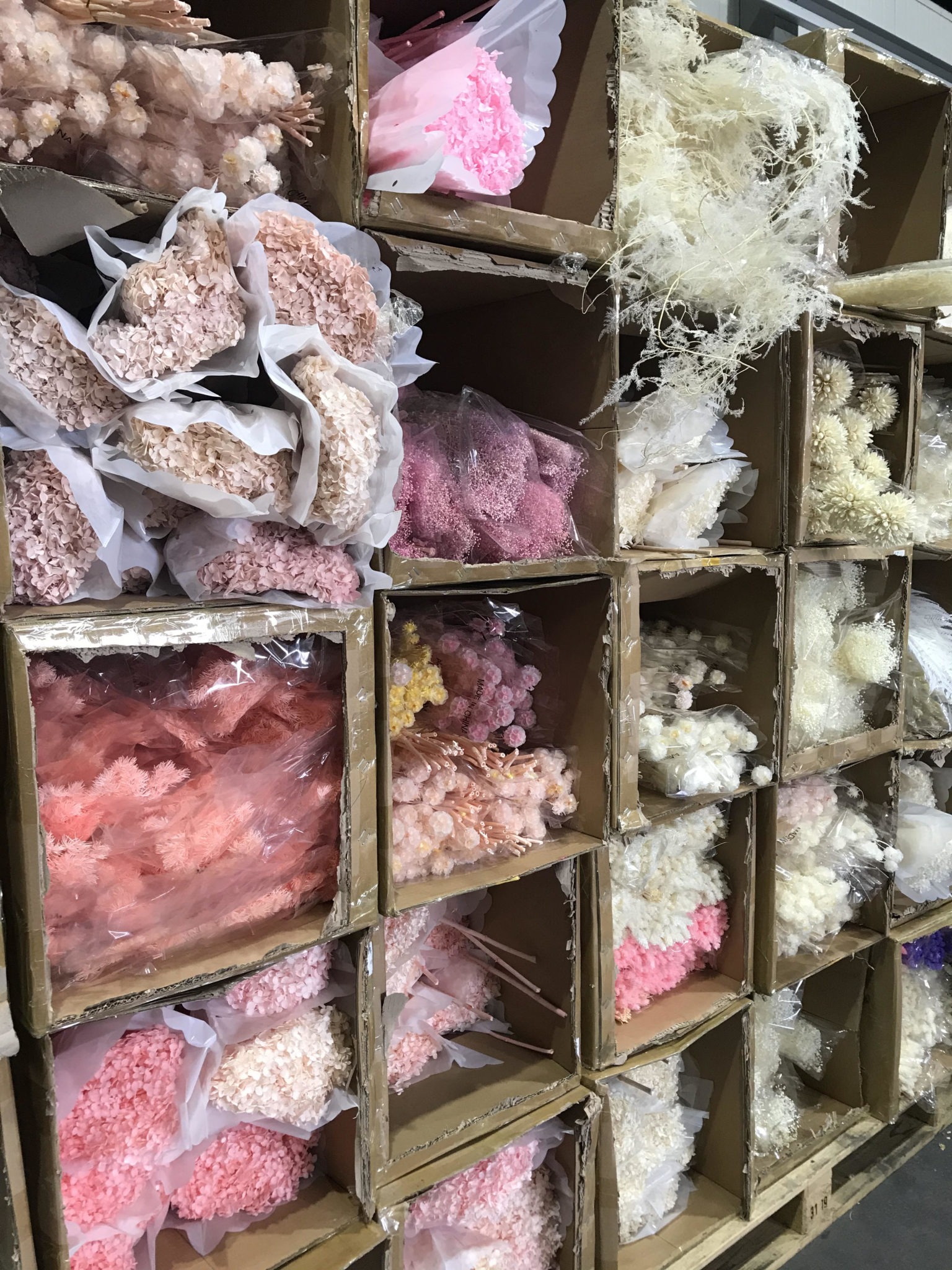 Our Range Santospirito Flowers & Wholesalers