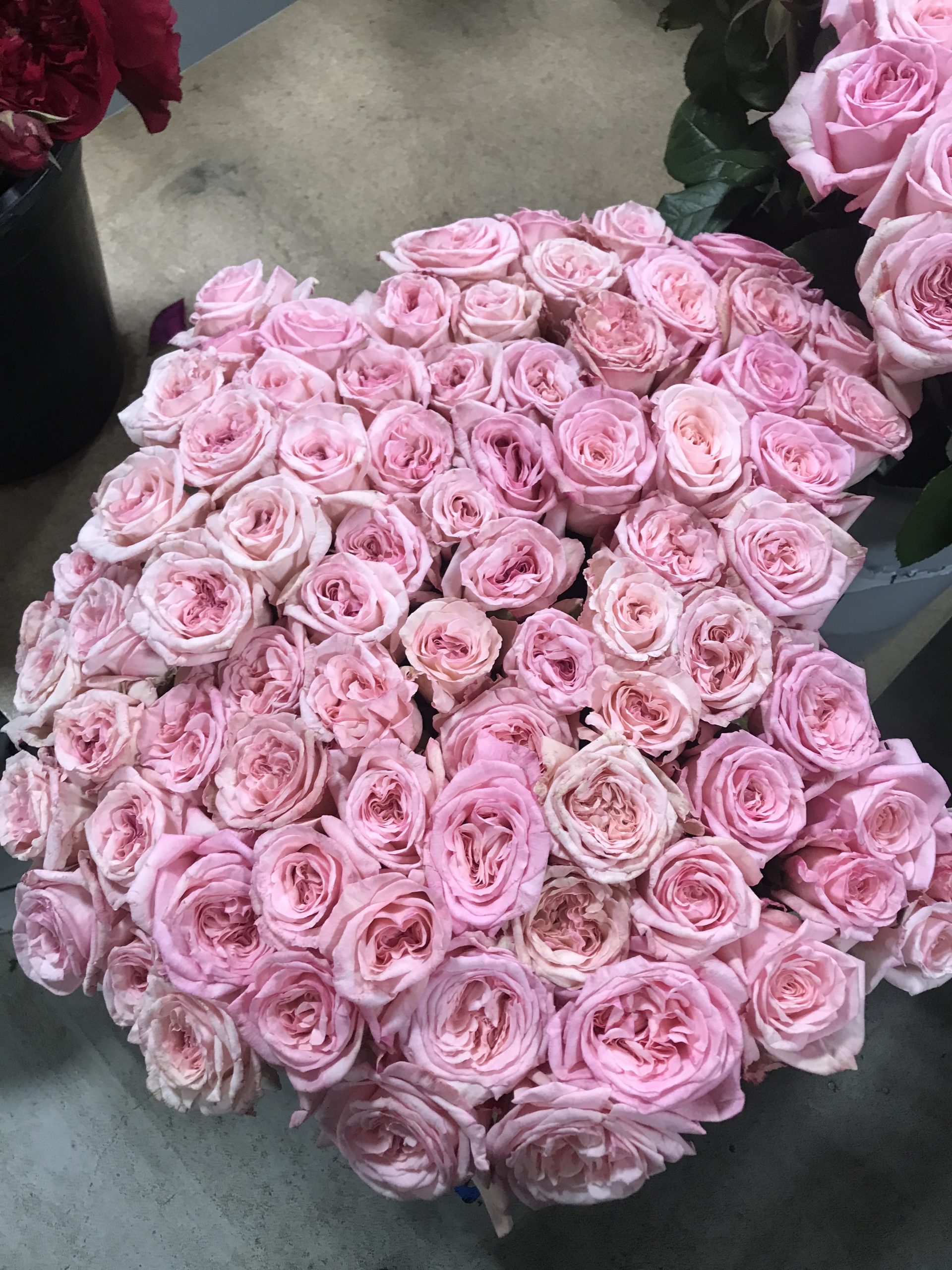 Roses Santospirito Flowers & Wholesalers