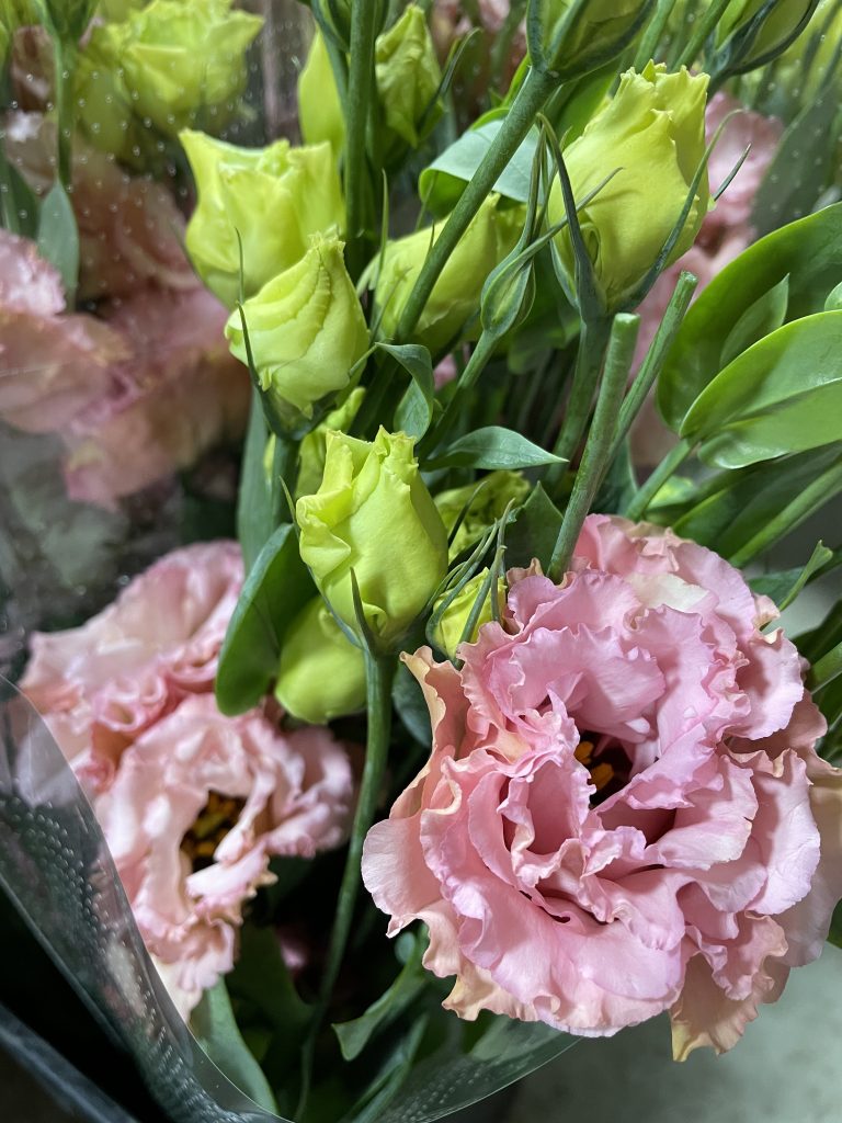 Lisianthus – Santospirito Flowers & Wholesalers
