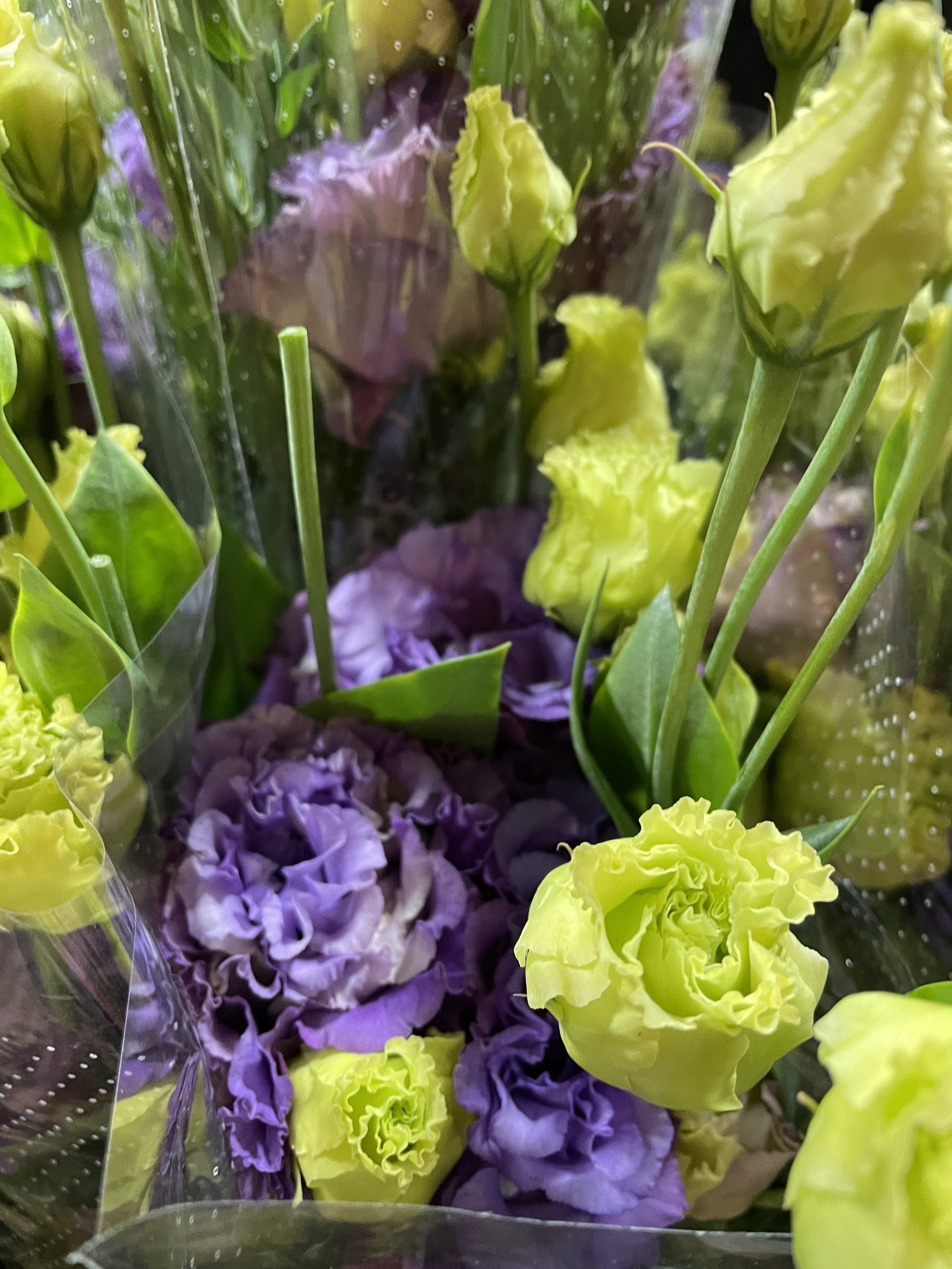 Lisianthus Santospirito Flowers & Wholesalers